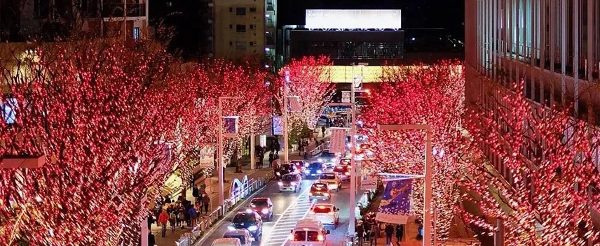 تور ژاپن