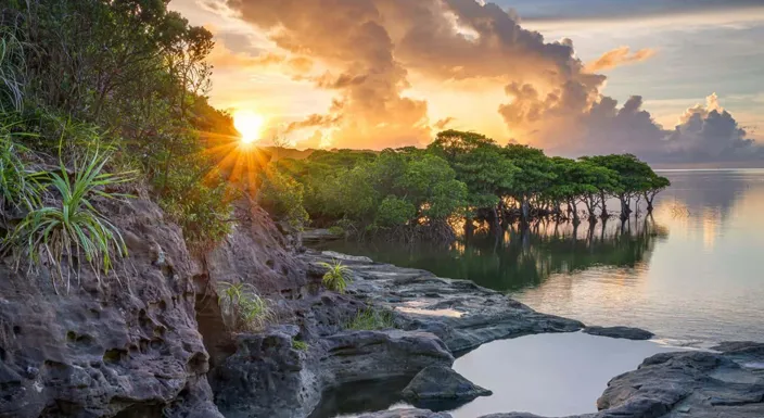 چهار فصل ژاپن