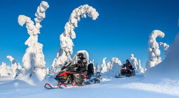 سافاری با اسنوموبیل در تور شفق قطبی فنلاند