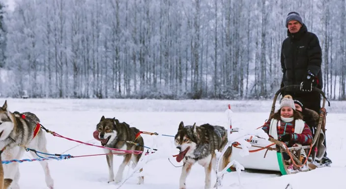 سورتمهسواری با هاسکی در توز شفق قطبی فنلاند