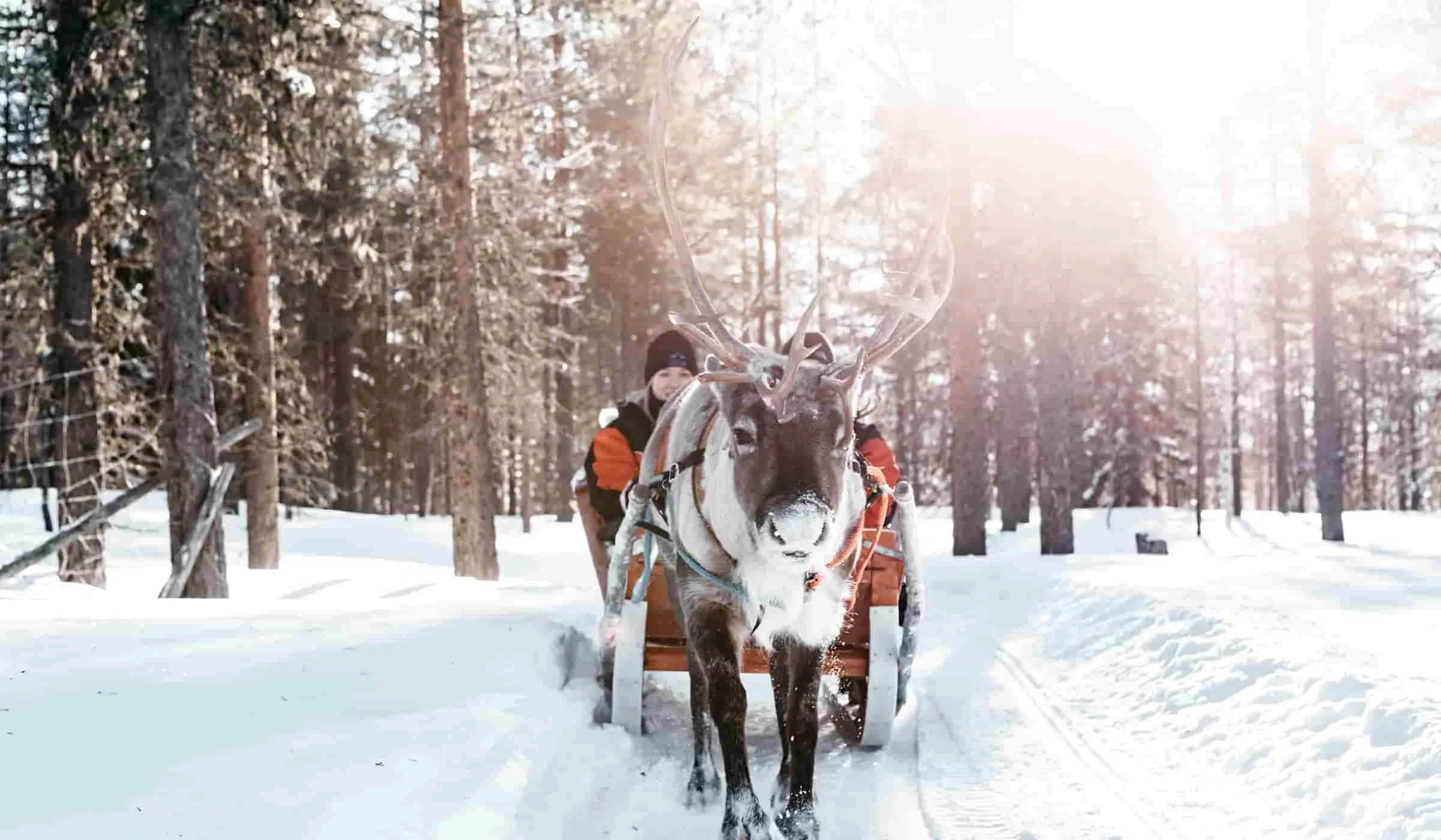 شفق قطبی، فروردین ۱۴۰۵