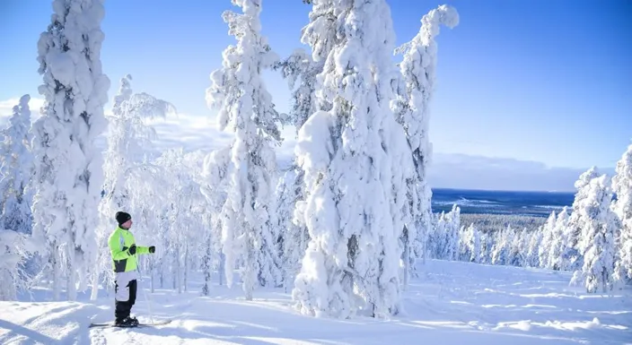 طبیعت فنلاند