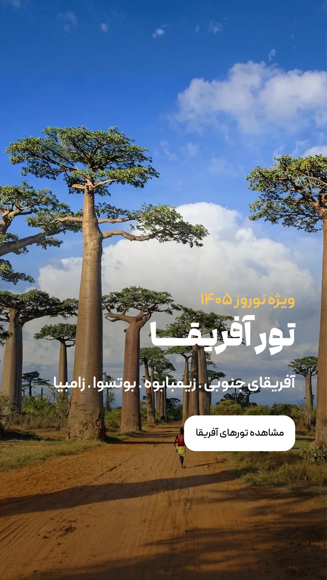 تورهای آفریقا